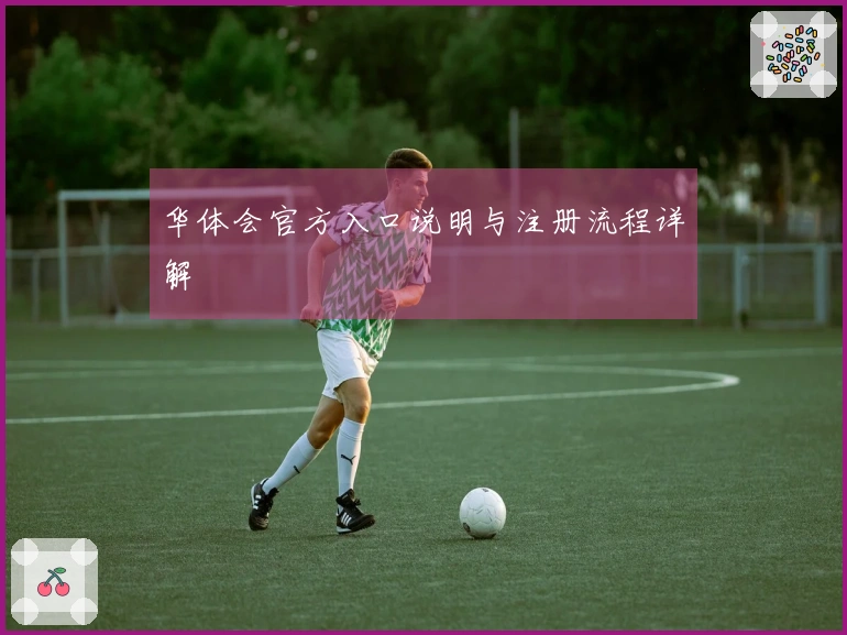 华体会官方入口说明与注册流程详解